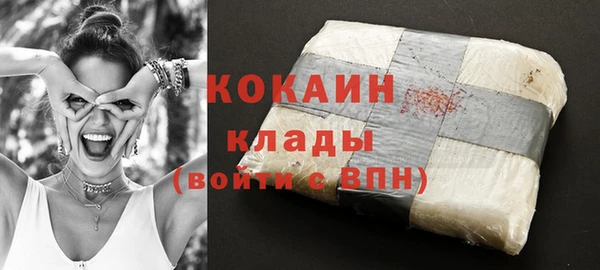 молекула духа Алзамай