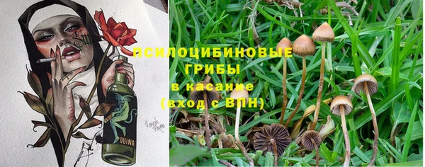 кокаин колумбия Алексин